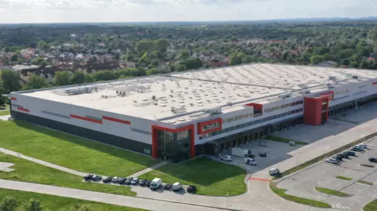 Rossmann_green