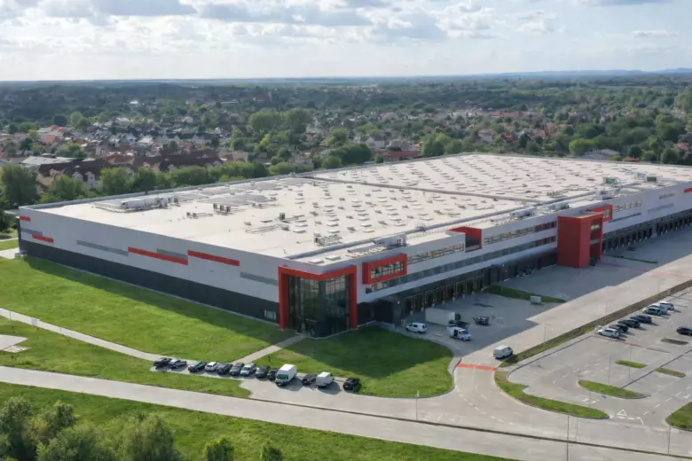 Rossmann_green